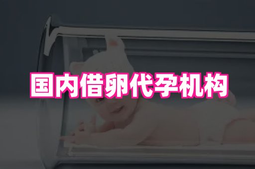 福建助孕网 1